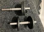 Twee halters/dumbbels, inclusief schijven., Ophalen, Zo goed als nieuw