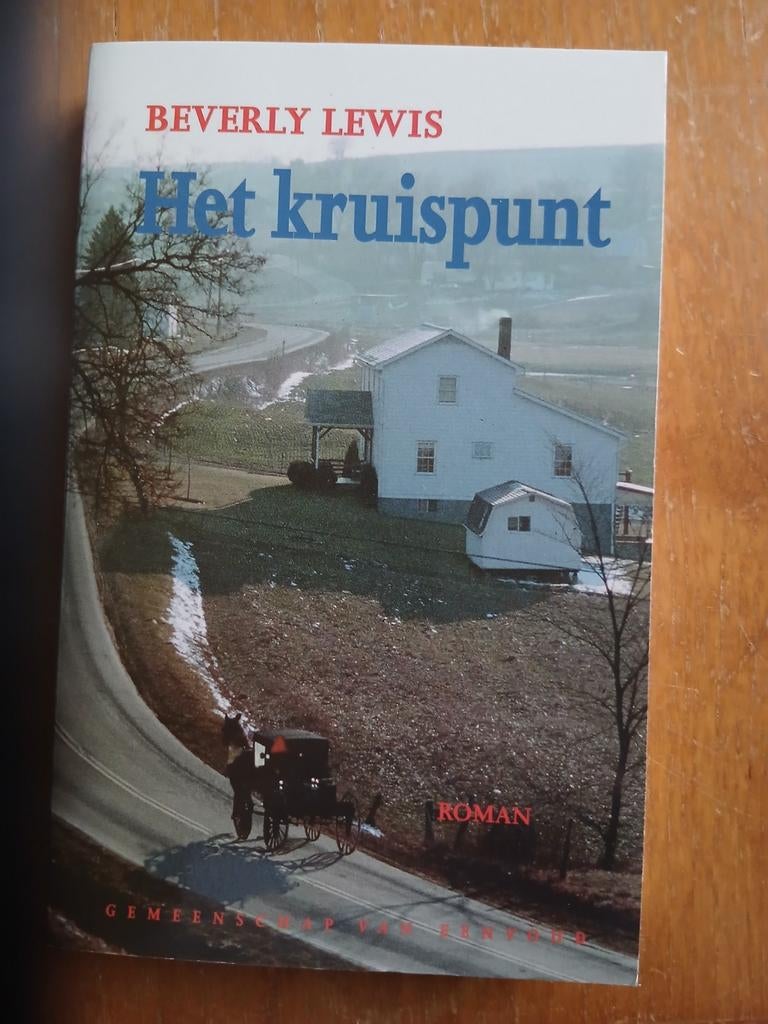 Het Kruispunt - Beverly Lewis, Ophalen of Verzenden, Zo goed als nieuw, Beverly Lewis, Nederland