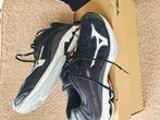 Mizuno zaalschoenen maat 43. Nog zeer netjes., Sport en Fitness, Volleybal, Ophalen of Verzenden, Gebruikt, Schoenen