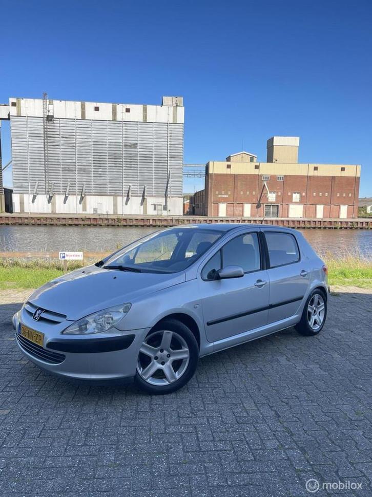 Peugeot 307 1.6-16V XS Pack, Auto's, Peugeot, Bedrijf, Te koop, ABS, Airbags, Airconditioning, Alarm, Boordcomputer, Centrale vergrendeling