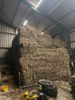 Bonenstro, Ophalen, Vee