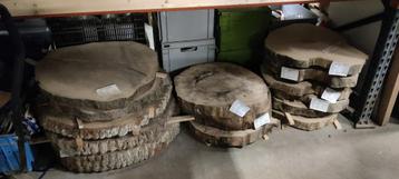 Diverse Boomstamschijven beschikbaar voor biedingen