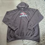 Grijze Wasted Hoodie - Maat XL, Ophalen of Verzenden, Jongen, Trui of Vest