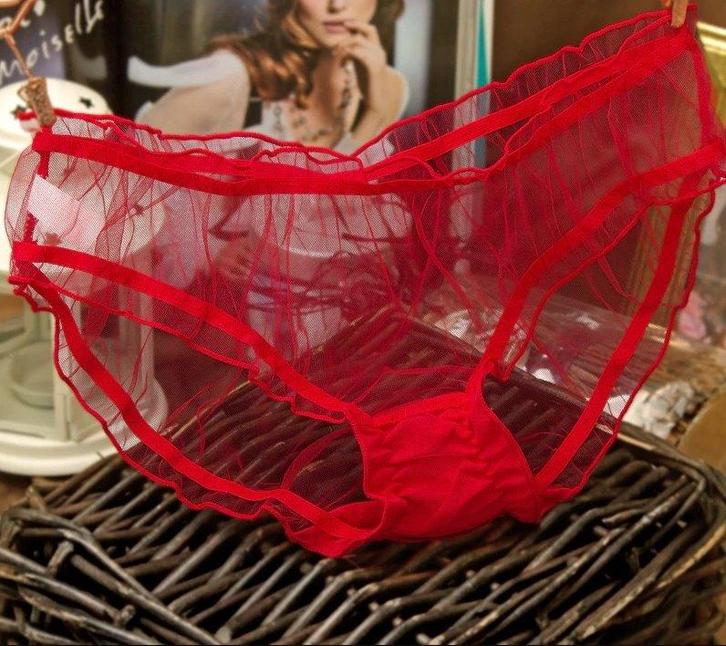 Rode doorzichtige dames slip / slipje kanten transparante, Kleding | Dames, Ondergoed en Lingerie, Slip, Rood, Verzenden