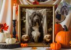 Halloween Huisdier Portret  - Digitaal Kunstwerk van Foto, Ophalen, Nieuw, Overige typen