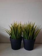 2x Ikea Fejka Kunstplant, Huis en Inrichting, Woonaccessoires | Kunstplanten en Kunstbloemen, Ophalen of Verzenden, Zo goed als nieuw