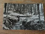 Oosterbeek bosgezicht, Verzamelen, Ansichtkaarten | Nederland, Verzenden, Voor 1920, Gelderland