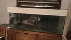 Aquarium, Dieren en Toebehoren, Reptielen en Amfibieën | Toebehoren, Ophalen, Gebruikt, Terrarium of Paludarium