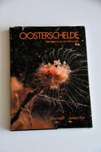 Oosterschelde het leven in & om het water - Wolff & Post, Ophalen of Verzenden