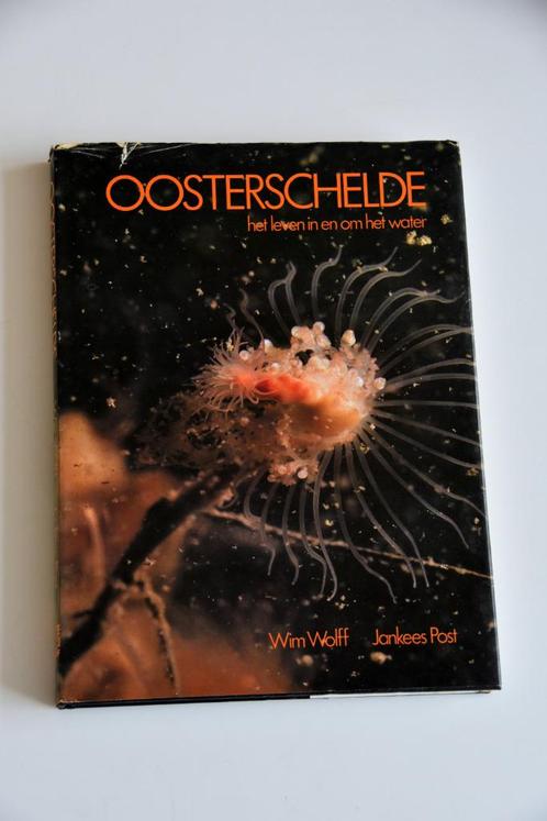 Oosterschelde het leven in & om het water - Wolff & Post, Boeken, Natuur, Ophalen of Verzenden