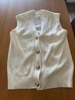 Vest H&M maat xs, Kleding | Dames, Truien en Vesten, Ophalen of Verzenden, Zo goed als nieuw, Maat 34 (XS) of kleiner