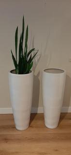 Grote keramische plantenpotten, wit, 2 stuks, samen, Rond, Binnen, Zo goed als nieuw, Aardewerk