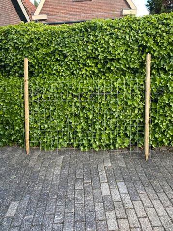 /houten palen / weidepaal/ Gaasmatten,betongaas / te koop beschikbaar voor biedingen
