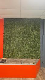 Moswand te koop 230 x 260, Ophalen of Verzenden, Zo goed als nieuw