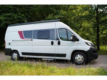 Fiat Ducato Bürstner City Car C600 (1008774) beschikbaar voor biedingen