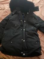 Moose Knuckles Winterjas orgineel, Kleding | Heren, Jassen | Winter, Ophalen of Verzenden, Gedragen, Maat 46 (S) of kleiner, Zwart