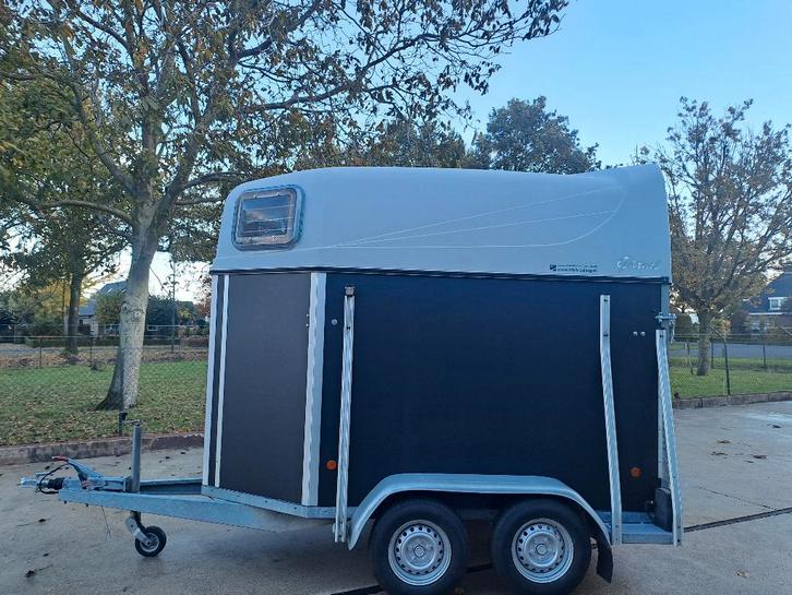 XX, Dieren en Toebehoren, Paarden en Pony's | Overige Paardenspullen, Zo goed als nieuw, Dressuur, Ophalen