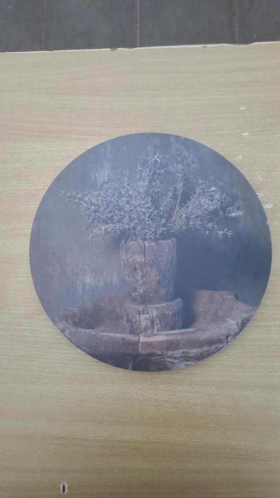 Muurcirkel 30cm - Natuurfoto, Huis en Inrichting, Woonaccessoires | Wanddecoraties, Nieuw, Ophalen of Verzenden