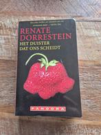 Het Duister Dat Ons Scheidt - Renate Dorrestein, Boeken, Ophalen of Verzenden, Gelezen, Renate Dorrestein, Nederland