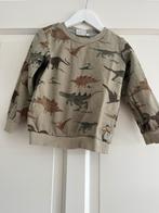Sturdy dinosaurus trui maat 104, Ophalen of Verzenden, Zo goed als nieuw, Jongen, Trui of Vest
