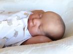 reborn baby doll met certificaten, Verzamelen, Poppen, Ophalen of Verzenden, Zo goed als nieuw, Pop, Levensecht of Reborn
