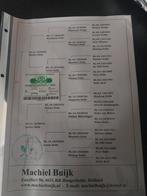 Postduif marathon, Meerdere dieren, Overige soorten