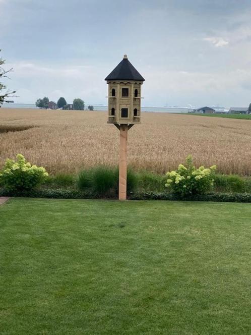 duiventillen, Dieren en Toebehoren, Vogels | Duiven, Overige soorten, Meerdere dieren
