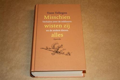 Toon Tellegen - Misschien wisten zij alles, Boeken, Literatuur, Zo goed als nieuw, Nederland, Ophalen of Verzenden