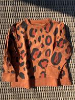Leo sweater Tiny cottons maat 6 (116), Ophalen of Verzenden, Gebruikt, Trui of Vest