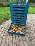 Te koop: nieuwe oogst gedroogde walnoten, Diversen, Ophalen