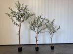 Kunstplanten kunst Olijfboom 120- 150- 190 cm Mediterrane, Ophalen, Nieuw, Binnen