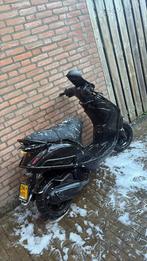 Zip 125cc moet weg!, Meerdere dieren, Kip