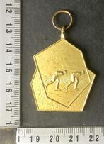 medaille, Schaatsen, Plassentocht, 35 KM (Z, Postzegels en Munten, Penningen en Medailles, Verzenden, Overige materialen, Nederland
