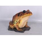 Frog Great Barred – Kikkerbeeld - 128 cm