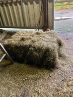 Hooi te koop, Ophalen, Vee