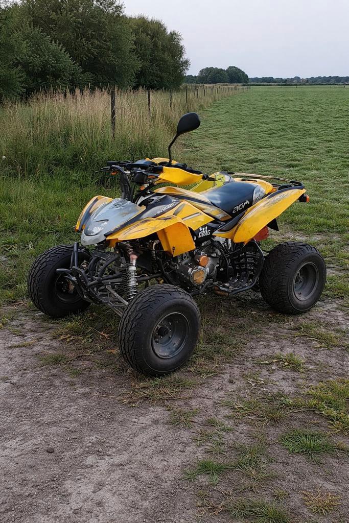 Bashan Quad 200cc - Project/Onderdelen, Auto-onderdelen, Motor en Toebehoren, Ophalen of Verzenden