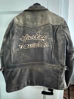 Harley Davidson leren jas, Heren, Jas | leer, Harley Davidson. Origineel., Ophalen of Verzenden