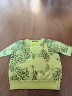 Schitterende Gaudi Jeans Trui - Maat M, Maat 38/40 (M), Overige kleuren, Nieuw, Ophalen of Verzenden