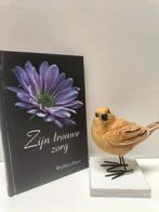 Floor, Wulfert; Zijn trouwe zorg, Boeken, Ophalen of Verzenden, Gelezen, Christendom | Protestants