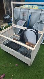 Beeztees Konijn / cavia kooi, Kooi, Gebruikt, Cavia, 75 tot 110 cm