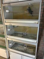 Van Keulen broedkooien, Dieren en Toebehoren, Ophalen, Gebruikt, Hout, Broedkooi of Kweekkooi