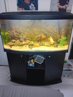 110cm aquarium panorama, Ophalen, Leeg aquarium