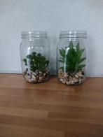Set glazen potten met kunstplantjes, Huis en Inrichting, Woonaccessoires | Kunstplanten en Kunstbloemen, Nieuw, Ophalen of Verzenden