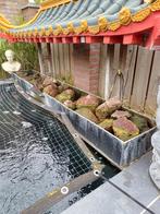 Plantenbak voor vijver., Ophalen of Verzenden, Zo goed als nieuw, Vijverfilter