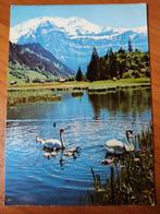 Ansichtkaart Zwitserland Lenk Berner Oberland 19649, Ophalen of Verzenden, Overig Europa