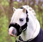 Fluffy halster zwart in de maat Shetlander - UITVERKOOP, Ophalen of Verzenden, Nieuw, Overige soorten