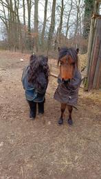 GEZOCHT, Dieren en Toebehoren, Paarden en Pony's | Overige Paardenspullen, Ophalen of Verzenden, Recreatie