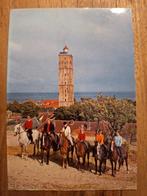 Dieren - Paarden - Terschelling, Verzamelen, Ophalen of Verzenden, Ongelopen, Paard