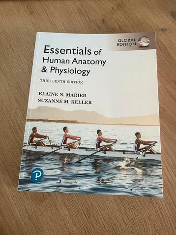 Essentials of Human Anatomy & Physiology - 13e editie beschikbaar voor biedingen