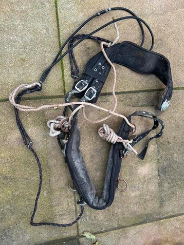 Longeer set beschikbaar voor biedingen